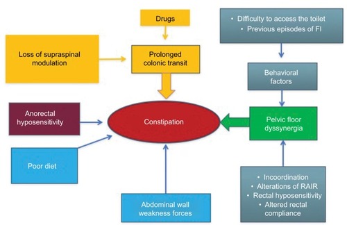 Figure 2 Diagram showing the multifactorial origin of constipation.