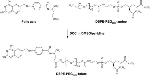 Figure 1 Schematic of synthesis of DSPE-PEG2000-folate.Note: The compound was synthesized by DCC chemistry linking the amine group of DSPE-PEG2000-amine and the γ-carboxyl of folic acid.Abbreviations: DSPE, distearoyl phosphatidyl ethanolamine; PEG2000, polyethylene glycol; DCC, dicyclohexylcarbodiimide.