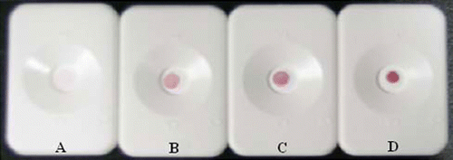 Figure 4.  DIGFA for different concentration of enrofloxacin in phosphate buffers (pH 7.4, 0.01 M). A: blank; B: 10 ng mL−1; C: 20 ng mL−1; D: 50 ng mL−1.