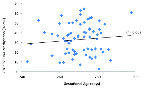 Figure 1. Cervical prostaglandin E receptor 2 (subtype EP2) (PTGER2) DNA methylation and gestational age (days), ELEMENT birth cohort, Mexico City (n = 73).