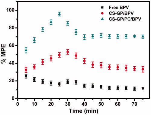 Figure 11. In vivo tail-flick test for the evaluation of the local anesthetic effects of free BPV, BPV-containing CS-GP, and BPV-containing CS-GP/PC formulations.