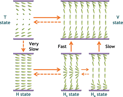 Figure 3. Liquid crystal transition of the OCB display.