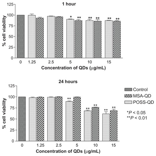 Figure 7 In vitro toxicity of POSS and MSA-QDs to Hep G2 cells.Notes: Different concentrations of QDs were compared to the control group. Both POSS and MSA-QDs are biocompatible at 2.5 μg/mL at 1 and 24 hours. POSS-QDs show lower cell viability at 5 μg/mL at 24 hours compared to MSA-QDs, although there is no significant difference in cell viability between the 2 QDs at higher concentrations of 10 and 15 μg/mL. *P < 0.05; **P < 0.01.Abbreviations: POSS, polyhedral oligomeric silsesquioxane; MSA-QDs, mercaptosuccinic acid quantum dots; QDs, quantum dots; POSS-QDs, polyhedral oligomeric silsesquioxane quantum dots.