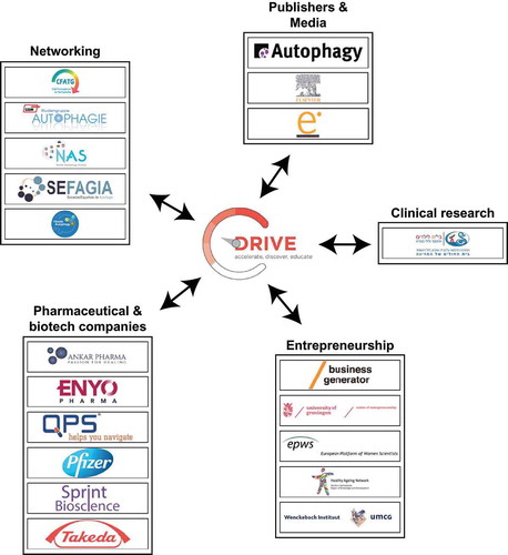 Figure 3. DRIVE associated partners.