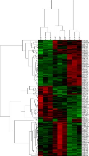 Figure 3. Hierarchical cluster analysis of protein expression profiles from nine skin samples with 159 proteins.
