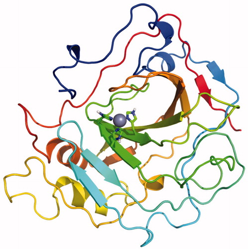 Figure 2. Final model of TcCA achieved from multi-template comparative modelling and subsequent iterative Rosetta-MD refinement. Histidine residues of the active site are highlighted in green for carbon atoms and in blue for nitrogen atoms. The zinc ion is represented as a non-bonded sphere in grey.