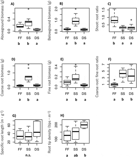 Figure 3. Differentiation of functional traits among fellfield (FF), shallow snowbed (SS), and deep snowbed (DS): (A) aboveground biomass, (B) belowground biomass, (C) aboveground:belowground (S:R) ratio, (D) coarse root biomass, (E) fine root biomass, (F) coarse root:fine root (C:F) ratio, (G) SRL, and (H) root tip density. Different letters shown under the habitat name indicate statistical difference by Tukey’s HSD multiple comparison test (p < .05). n.s. means not significant