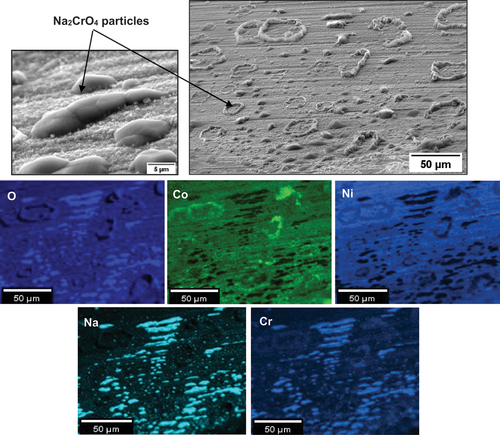 Figure 11. Top surface EDS map of C-ring exposed in air for 50 hours.