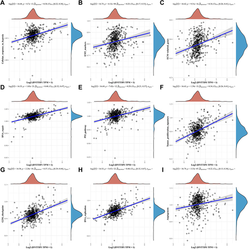 Figure 7 Pathway of DNTTIP1 in TCGA-KIRC with SsGSEA. (A) Cellular response to hypoxia; (B) EMT (C) ECM-related gene; (D) DNA repair; (E) p53 pathway; (F) Tumor growth signature; (G) G2M checkpoint; (H) DNA replication; (I) Angiogenesis. Round indicators represent the pathway scores of high and low DNTTIP1 groups.