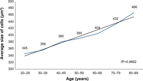 Figure 3 The change in average cell size across age groups.