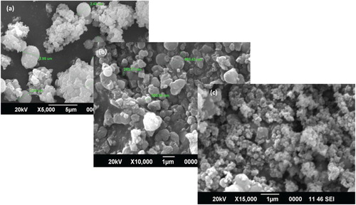 Figure 4. SEM for complexes (a) [La(C15H12N2OH)2(H2O)Cl], (b) [La(C15H12N2OH)(C5H10NS2)(2 H2O)Cl], (c) [La(C15H12N2OOCH3) (C2H5OCS2)(2 H2O)Cl].