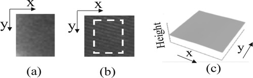 Figure 7. Measured results. (a) SEM image. (b) Speckle pattern. (c) Three dimensional shape.