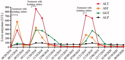 Figure 1. Evolution of AST, ALT, GGT and ALP levels with kedaling tablets exposure and discontinuation. Differences in AST and ALT are statistically different from the reference range at p < .01.