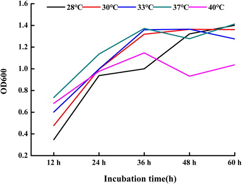 Figure 2. Effect of cultural temperature on the growth of strain (SDUM301120).