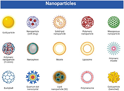 Figure 2. Schematic illustration of organic and inorganic NPs used for nanotherapeutics or nano-drug products. (Illustration created with BioRender.com.).