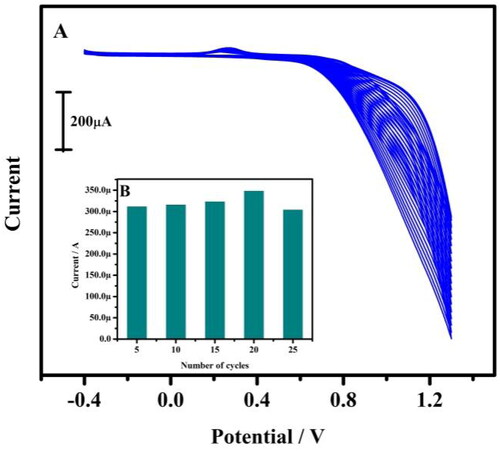 Figure 1. (A) Tentative CVs for the preparation of tavaborole/CPE. The electrolytic cell contains 1 mM tavaborole in 0.1 M NaOH at 20 multiple cycles with a scan rate of 0.05 Vs−1. (B) Relationship between anodic peak current and a total number of polymerisation cycles.