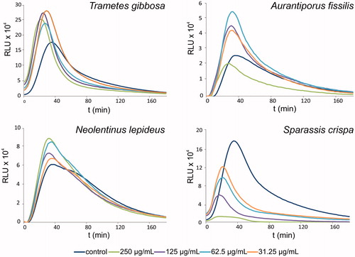Figure 1. Typical relative luminescence assay curves, showing activation (in case of Trametes gibbosa, Aurantiporus fissilis and Neolentinus lepideus) or suppression (Sparassis crispa) of neutrophil phagocytic response by selected polypore mushroom extracts at various concentrations. RLU, relative luminescence units.