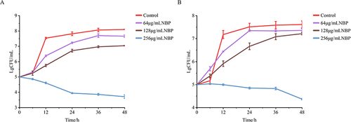 Figure 1 The time-kill curve of NBP on CG19 and CT20((A) CG19; (B) CT20).