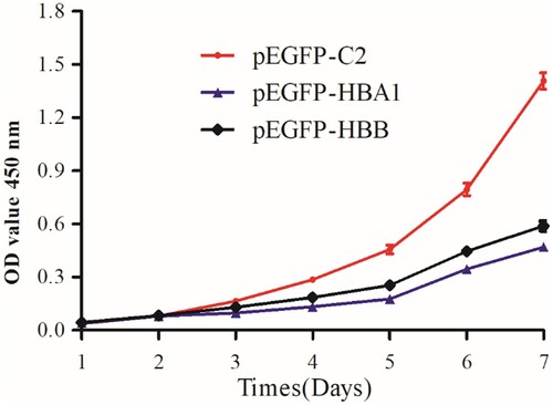 Figure 3. Cell proliferation detection by CCK8 analysis. K562 cells transfected with HBA1 and HBB1 showed slow-growing curves compared to the control.