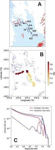 Figure 10. A, Fault sources around the Te Puninga Fault from the NZ Community Fault Model (NZ CFM, Seebeck et al. Citation2023). In blue are active faults that could rupture with the Te Puninga (TP) Fault based on the grand inversion in the 2022 NZ NSHM (Gerstenberger et al. Citation2022), namely: segments of the Kerepehi Fault (KO, Okoroire; KTP, Te Poi; KW, Waitoa; KE, Elstow; KA, Awaiti; KOf, Offshore) and the Mangatangi (Ma), Pokeno (Po) and Aka Aka (AA) faults. In red are other fault sources in the NZ CFM. B, Single-event ruptures of multiple faults that include the Te Puninga Fault (dashed box) are depicted by the filled polygons. The larger magnitude events are superimposed by the smaller magnitude ones. Open polygons denote fault segments (of the Community Fault Model; Seebeck et al. Citation2023) that do not participate in any of the ruptures involving the Te Puninga Fault. C, Participation magnitude frequency distribution of the events associated with the Te Puninga Fault. The event rates include those given by inversion of slip rates and distributed (or background) seismicity. The former accounts for magnitudes larger than Mw 6.8. The event rates derived from the inversion of the geologic slip rates (red lines) show a characteristic event with the mode at Mw ∼7.25, while those derived from the inversion of geodetic slip rates (blue lines) show the mode at Mw ∼7.45. The dataset shown in (B) and (C) was extracted from the 2022 NZ NSHM (Gerstenberger et al. Citation2022).