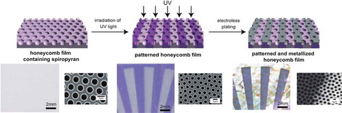 Figure 8. Photopatterning of metallic honeycomb films fabricated from a spiropyran-containing amphiphilic polymer. Bottom images show photographs and SEM images of prepared honeycomb film (left), photo-patterned honeycomb film (center), and plated honeycomb film (right), respectively. Reproduced with permission from [Citation77] (Copyright 2010, Royal Society of Chemistry).