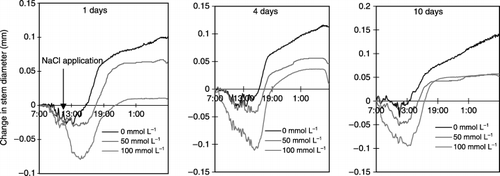 Figure 4  Effects of salinity (NaCl) treatment on the stem diameter of tobacco after 1, 4 and 10 days of NaCl treatment during 24 h from 07:00 am.