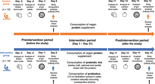 Figure 1. Summary flowchart of the analyses performed during the pre- and postintervention period. During the intervention period, athletes in the control group consumed a vegan protein supplement, while athletes in the intervention group consumed pre-and probiotics in addition to the vegan protein supplement.