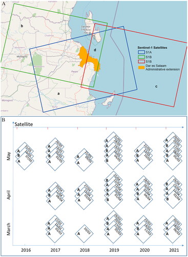 Figure 4. (A) Footprints of Sentinel-1 (a, b) for May 2021 in Dar es Salaam. (a) Sentinel-1A including three images captured on 05, 17, and 29 May, (b) Sentinel-1B covering about 90% of the city with two images captured on 08 and 20 May, (c) Sentinel-1B covering only southeastern half of the city with three images captured on 03, 15, and 27 May, and (d) overlap of all repeat Sentinel-1A and B images, and (B) temporal distribution of the Sentinel-1A and B images in Dar es Salaam.
