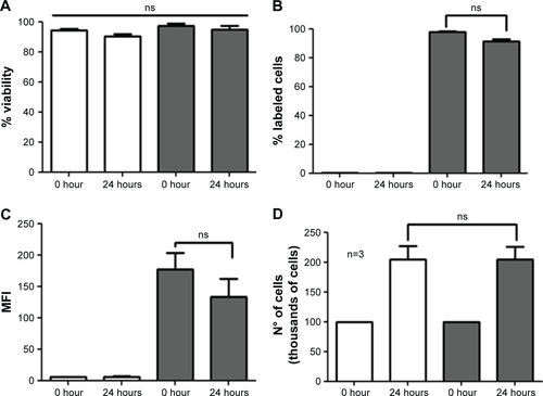 Figure S3 Effects of QDs-GSH incorporation on B16F10 cell proliferation and evaluation of QDs-GSH signal after 24 hours.Notes: 1×105 B16F10 cells (white bars) and B16F10 cells labeled with rQDs-GSH (gray bars) were cultured in RPMI supplemented with 10% FBS for 24 hours, and cell viability, percentage of viable labeled cells, MFI, and the total cell number (quantification of proliferation) were determined after cell labeling. (A) Cell viability at 0 or 24 hours post-labeling. (B) Percentage of viable B16F10 cells at 0 or 24 hours post-labeling. (C) MFI of viable B16F10 cells at 0 or 24 hours post-labeling. (D) Total number of B16F10 cells at 0 or 24 hours post-labeling. Results were averaged from three independent experiments (n=3). Data were analyzed using the nonparametric Mann–Whitney test. The n.s. significant differences compared with the controls and different treatments are indicated.Abbreviations: GSH, glutathione; MFI, mean fluorescence intensity; n.s., non-statistically; QDs, quantum dots; rQDs-GSH, red QDs-GSH.