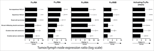 Figure 5. Expression of activating FcγR mRNA in tumors vs. lymph nodes from HDs. The ratio of the mRNA expression of the specified activating FcγR in the tumor specimen and the mean (±SD) mRNA expression in the lymph nodes of HDs is shown on a log(2) scale. In the histogram on the right, the mean of the ratios [expressed as log(2)] of the four activating FcγRs is shown. The mean expression of each FcγR in each tumor as compared to the mean expression in HD lymph nodes was found to be significantly different (#, p<0.05: ##, p<0.01: ###, p<0.001; ####, p<0.0001).