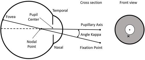 Figure 1 Schematic diagram illustrating angle kappa and the proxy vector from an eye image.