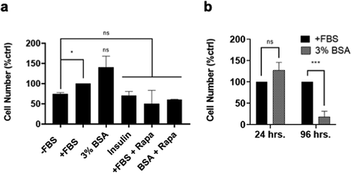 Figure 4. BSA cannot sustain cell cycle progression long term. (a) BJ-hTERT cells were plated at 30% confluency in DMEM 10% FBS. After 24 h, cells were shifted to DMEM 0% FBS for 48 h. After this, media was replaced with DMEM 10% FBS for 3.5 h. This media was washed off and cells were treated with media conditions -FBS, +FBS, 3% BSA, DMEM + Insulin 10uM (Insulin), DMEM 10% FBS + Rapamycin 20uM (+FBS + Rapa) and DMEM 3% BSA + Rapamycin 20uM (BSA + Rapa) for 24 h. After 24 h, viable adherent cells were collected and counted with a hemocytometer. (b) Cells were plated and treated as described in (a). After 24 and 96 h, viable (attached) cells were collected and counted with a hemocytometer. In both (a) and (b) cell number is represented as percent of positive control +FBS which has been given a value of 100%. Significance asterisks are compared with the control unless otherwise denoted with additional brackets. The data is represented as mean ± SD and is the result of at least three independent experiments. *, p ≤ 0.05, ***, p ≤ 0.001. Not significant (ns) means p > 0.05.