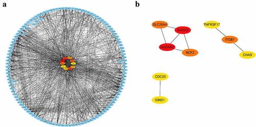 Figure 8. Visualization of hub genes associated with the levels of B cells in the parotid tissue of pSS patients. (a) The top 10 hub genes associated with the increased level of naïve B cells in parotid tissue. (b) The top 9 hub genes related to the elevated level of memory B cells in parotid tissue