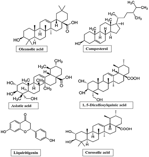Figure 2 Structures of pharmacologically important molecules from Centella asiatica.