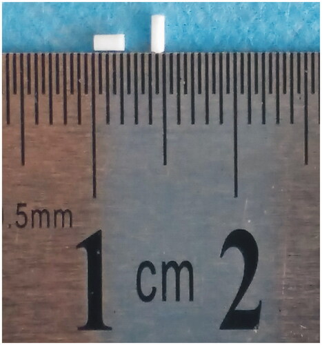 Figure 1. Macroscopic picture of the entire etoposide-loaded implants.