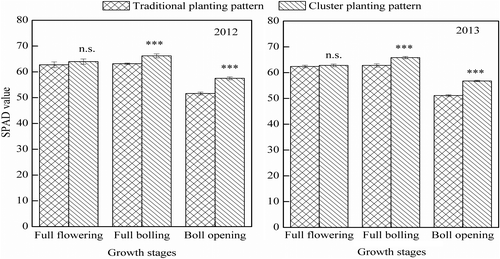 Figure 3. Leaf chlorophyll content (SPAD) of cotton at different growth stages in traditional and cluster planting patterns in 2012 and 2013. Values represent means ± SD (n = 6). n.s.: not signiﬁcant. ***p < .001.