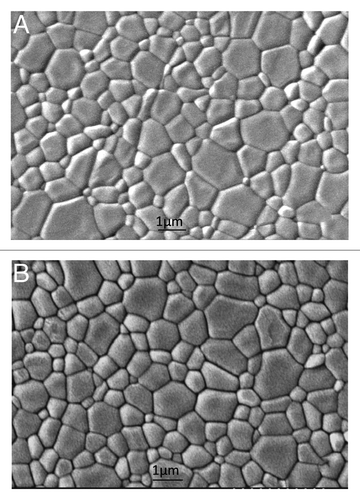 Figure 3. Initial SEM micrographs of TCP (A) and TCP-T (B) samples.