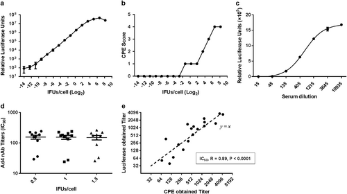 Fig. 1 The establishment and validation of neutralization assays based on an Ad4-Luc recombinant virus.Serial dilutions of the Ad4-Luc recombinant virus were added to 2×104 A549 cells in a 96-well plate (a and b). a The CPE score was divided into 5 levels (0–4) that represent approximately 0, 25, 50, 75, and 100% of cells exhibiting cytopathic effects after 1 day of viral infection, respectively. b Luciferase expression was also measured at 24 h postinfection. c Serial dilutions of HAdV-4-positive serum samples were incubated with Ad4-Luc and then were used to infect A549 cells. The luciferase assay was performed at 24 h postinfection. d Ten HAdV-4-positive serum samples were incubated with Ad4-Luc at three fixed IFU/cells ratios (0.5, 1, and 1.5). After the neutralization assay was performed, serum titers were calculated by the dilution level at which 90% of luciferase expression was inhibited. The difference between the three groups was analyzed by a one-way ANOVA test. e HAdV-4-positive serum samples were tested by two different neutralization assays, and the IC50 values obtained by the luciferase expression inhibition assay (y-axis) and the cytopathic effect assay (x-axis) were compared and analyzed for Spearman’s correlation coefficient