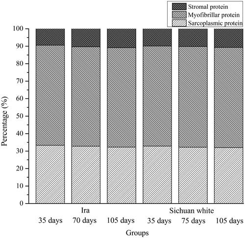 Figure 1. Percentage of sarcoplasmic, myofibrillar, and stromal protein in rabbit meat with different breeds and ages.