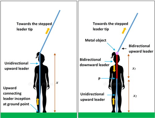 Figure 2. Streamer formation from a human body in the presence of a stepped leader tip. a. In the absence of a metal part; b. in the presence of a metal part