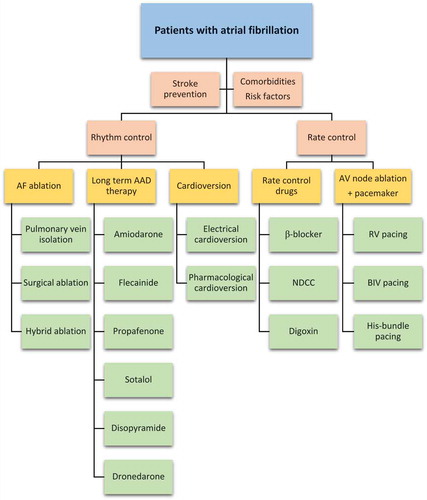 Figure 1. General management strategy among patients with atrial fibrillation AV – atrioventricular; AF – atrial fibrillation; NDCC – Non-dihydropyridine calcium channel blocker; AAD – antiarrhythmic drug; RV – right ventricular; BIV – biventricular. Based on Refs [Citation3,Citation4,Citation9,Citation10]