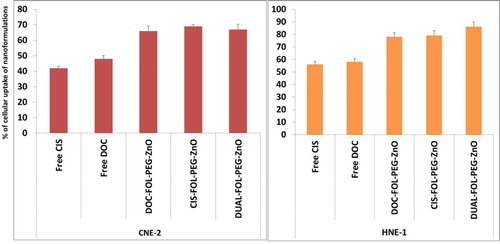 Figure 7. Cellular uptakes of the nanoformulations by HNE-1 & CNE-2 cells.