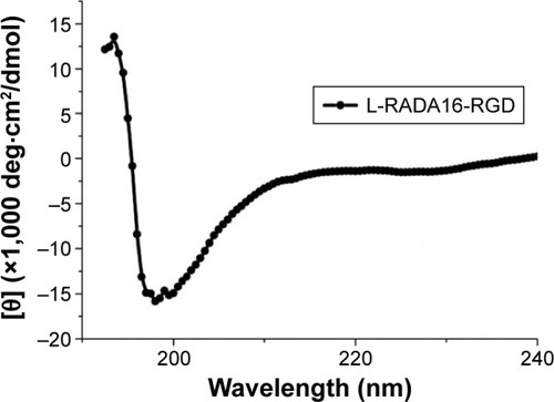Figure 1 Circular dichroism spectra of the chiral peptides.