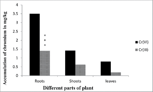 Figure 9. Different forms of chromium after accumulation by different parts of plants. Data represents mean ± SE (Standard error) of n = 5 ***p < 0.001 (Student's t-test).