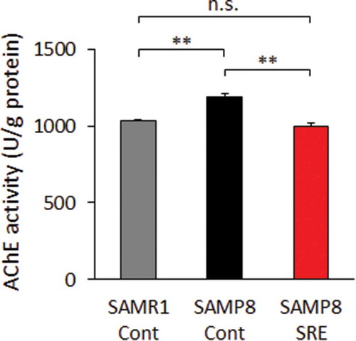 Figure 4. AChE activity in the brain. AChE activity was evaluated in the brains of control diet-fed SAMR1 (SAMR1-Cont), control diet-fed SAMP8 (SAMP8-Cont) and SRE diet-fed SAMP8 (SAMP8-SRE) mice after a 23-week dietary experimental period. Data are expressed as means ± standard errors of the means; n = 6; **p < 0.01; n.s.: not significant.