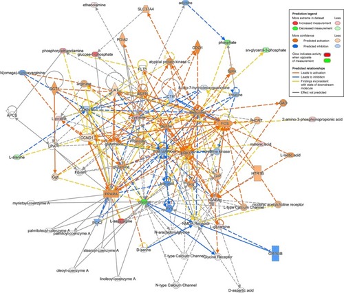 Figure 10 Network of “cellular compromise, lipid metabolism, small molecule biochemistry” associated with key differential metabolites in the comparison of rtPA+DG and CON groups in rats PFC with a score of 38 and 14 differential metabolites involved.