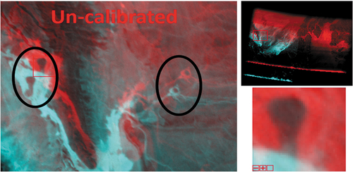 Figure 14. Observed shift between further away frames. The image is a false colour RGB image (R: projected frame#1, G: projected frame#15, and B: projected frame#15).