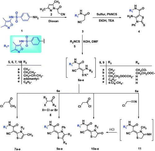 Scheme 1. Synthetic route to functionalized thiazoles tagged with sulfisoxazole.