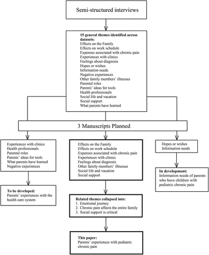 Figure 1. Qualitative analyses.