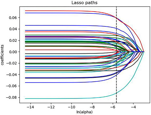 Figure 3 The LASSO path plot of the M-LR in the training set. After the dimension reduction method of LASSO, there were 51 radiomic features left.
